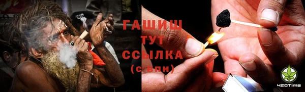 индика Абаза