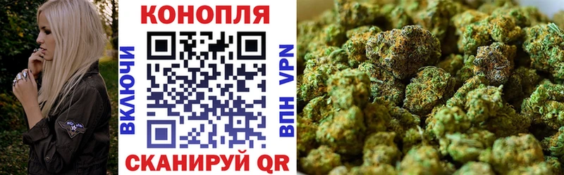 Канабис план  купить  сайты  Струнино 